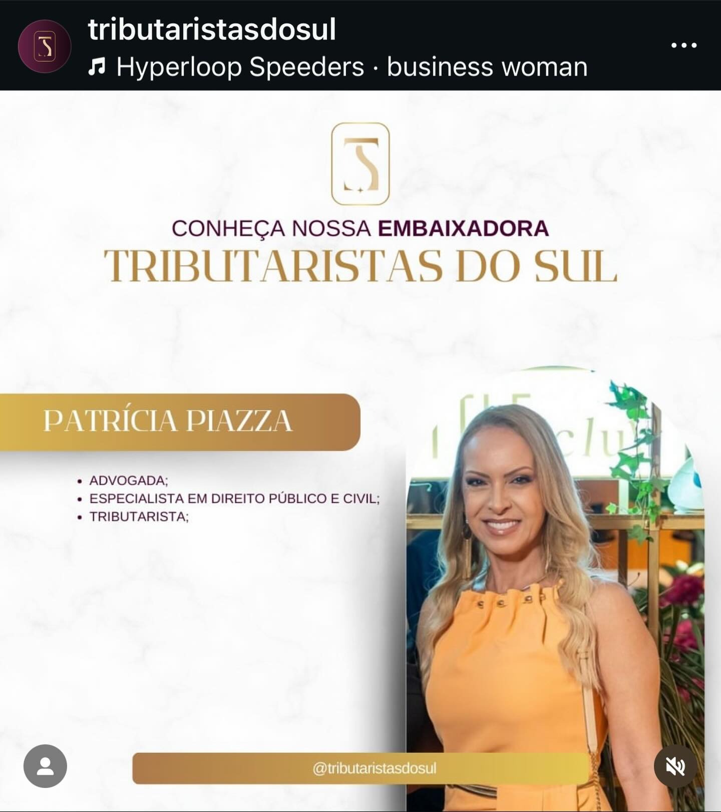 Embaixadora Tributaristas do Sul